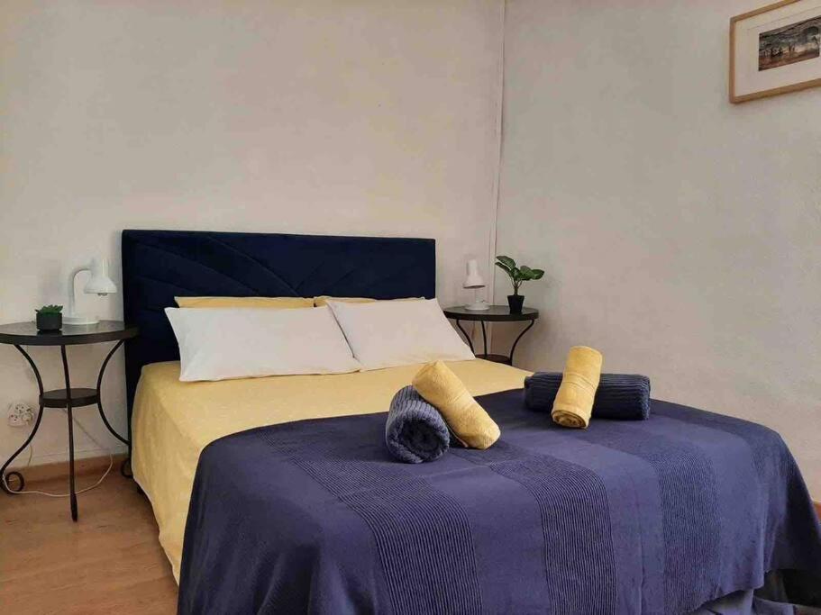 Historic French Townhouse Villa Saint-Thibery Ngoại thất bức ảnh